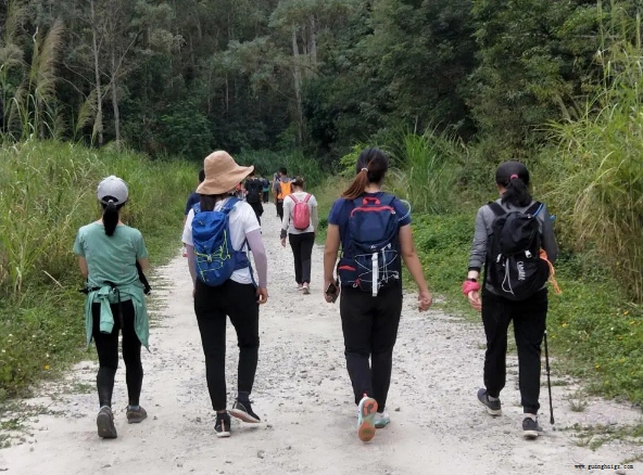 尊龙凯时人生就是搏·(中国区)官方网站