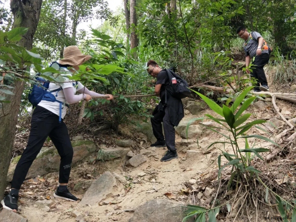 尊龙凯时人生就是搏·(中国区)官方网站