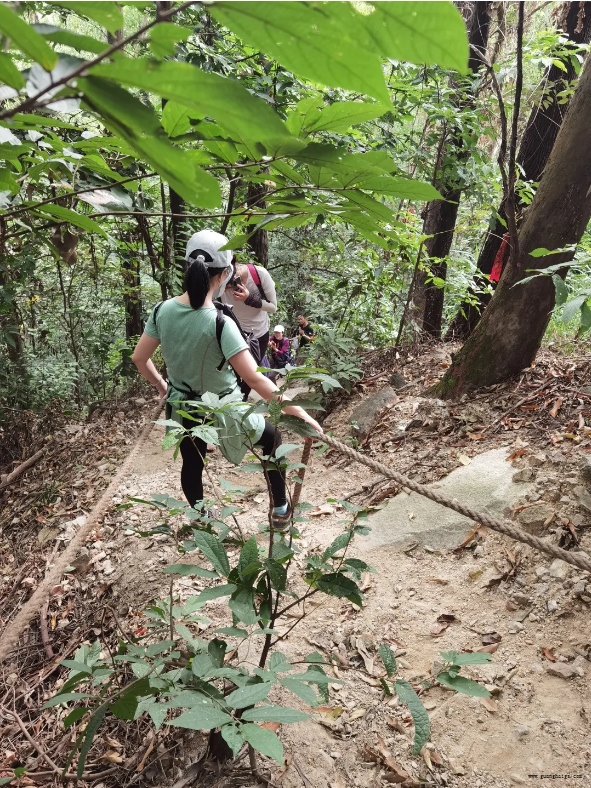 尊龙凯时人生就是搏·(中国区)官方网站